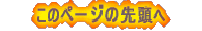 ̃y[W̐擪